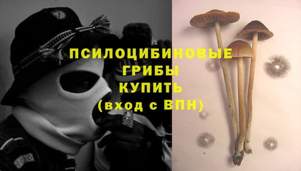 дживик Алексеевка