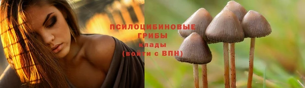 ешки Абинск