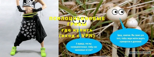 дживик Алексеевка