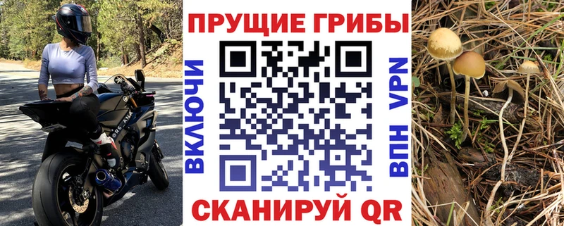 omg рабочий сайт Югорск Псилоцибиновые грибы ЛСД