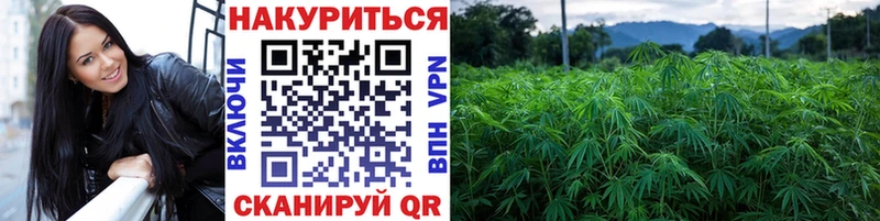 OMG tor  даркнет наркотические препараты  МАРИХУАНА THC 21%  Югорск 